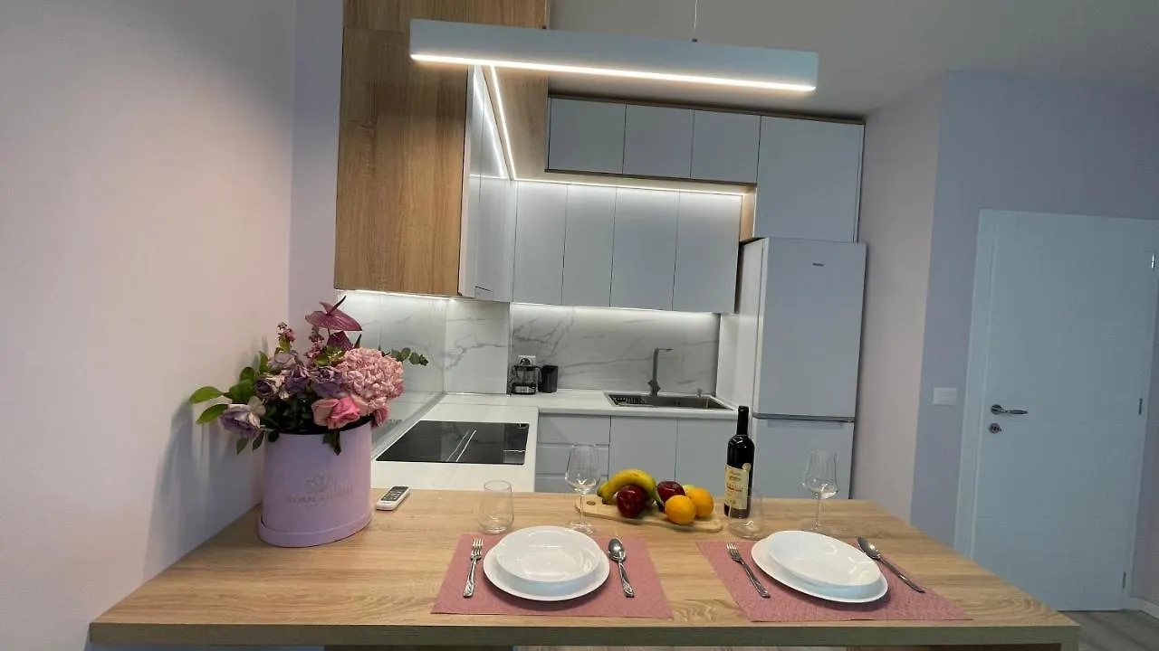 Lovely Apartment ティラナ