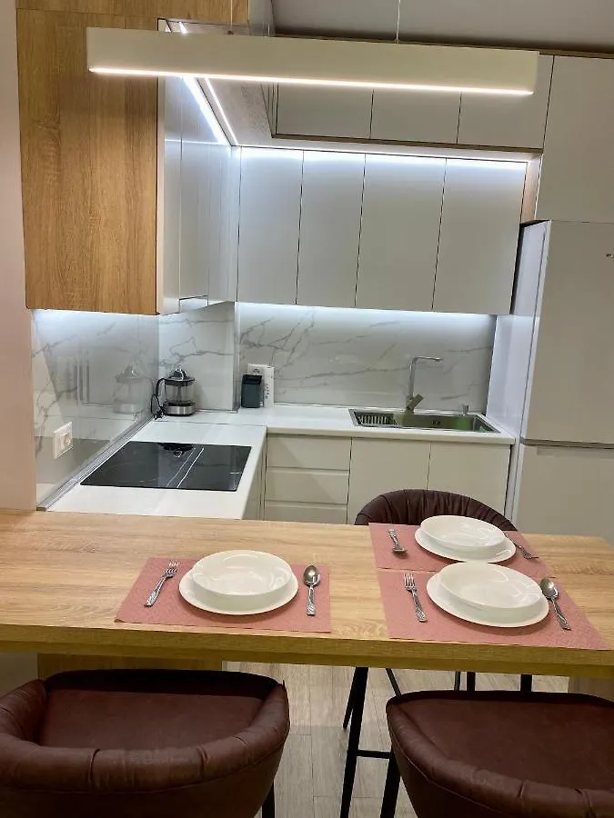 Lovely Apartment ティラナ
